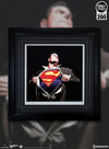 The Man of Steel Exclusive Edition View 10