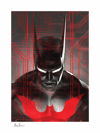 Batman Beyond Exclusive Edition View 8