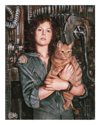 Ripley View 8