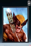 The Incredible Hulk vs Wolverine Exclusive Edition View 2