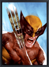 The Incredible Hulk vs Wolverine Exclusive Edition View 7