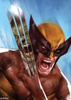 The Incredible Hulk vs Wolverine Exclusive Edition View 3