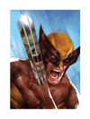 The Incredible Hulk vs Wolverine Exclusive Edition View 7
