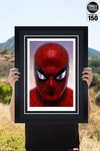 Spider-Man: Portraits of Heroism & Green Goblin: Portraits of Villainy Set