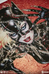 Wildcat Exclusive Edition View 9