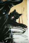 Clawsplay