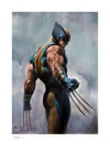Wolverine Exclusive Edition 