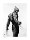 Wolverine - Black & White Variant Exclusive Edition 