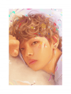 Love Yourself: V Exclusive Edition 