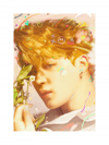 Love Yourself: Jimin Exclusive Edition 