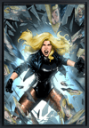 Black Canary Exclusive Edition View 2