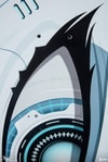 The Acumen Eye