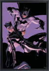 The Bat and The Cat