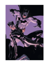 The Bat and The Cat
