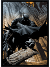 Batman™ #700 Exclusive Edition 