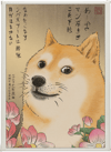 Doge