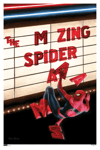 The Amazing Spider-Man #665 (Variant Edition) View 2