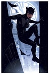 Catwoman™ Exclusive Edition View 5