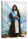 The Jedi Master™ View 3
