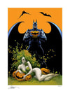 Batman: The Long Halloween Exclusive Edition View 7