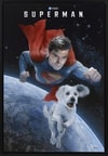 Superman™ and Krypto™ Exclusive Edition View 5