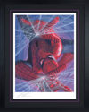 Marvelocity: Spider-Man View 6