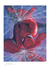 Marvelocity: Spider-Man View 5