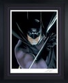 Batman™: Mythology View 6