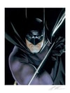 Batman™: Mythology View 5