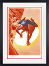 Dimensions: Spider-Man View 5