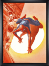 Dimensions: Spider-Man View 5