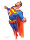Superman: Answering the Call View 5