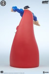 Superman View 9