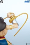 Wonder Woman View 10