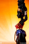 Wonder Woman™ (Ebony) (Prototype Shown) View 3