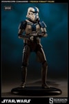 Stormtrooper Commander View 7