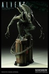 Alien Warrior View 1