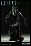 Alien Warrior View 2