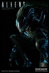 Alien Warrior View 5