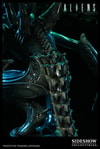 Alien Warrior View 7