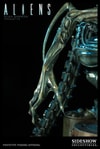 Alien Warrior View 11