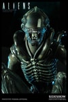 Alien Warrior View 12