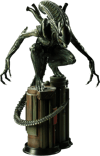 Alien Warrior View 14