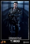 T-800 View 11