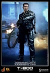 T-800 View 14
