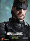 Naked Snake View 2