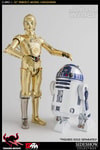 C-3PO View 8