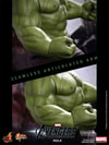 Hulk View 15