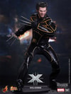 Wolverine View 3