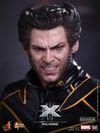 Wolverine View 11